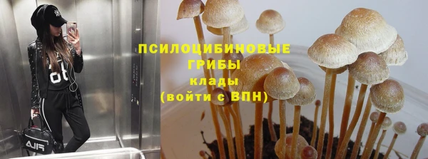 молекула духа Баксан
