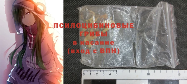 прущие грибы Балабаново