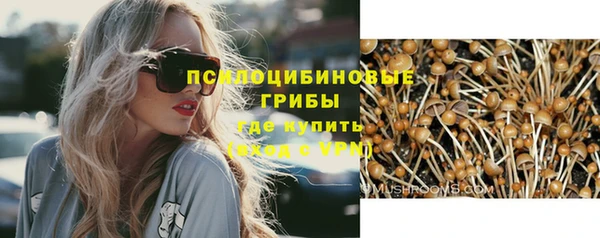 прущие грибы Балабаново
