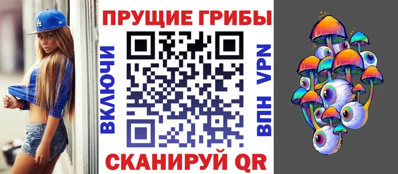 МЕГА ссылка  Сибай  Псилоцибиновые грибы MAGIC MUSHROOMS  дарнет шоп 
